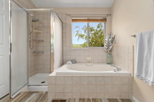 Primary Bath 4