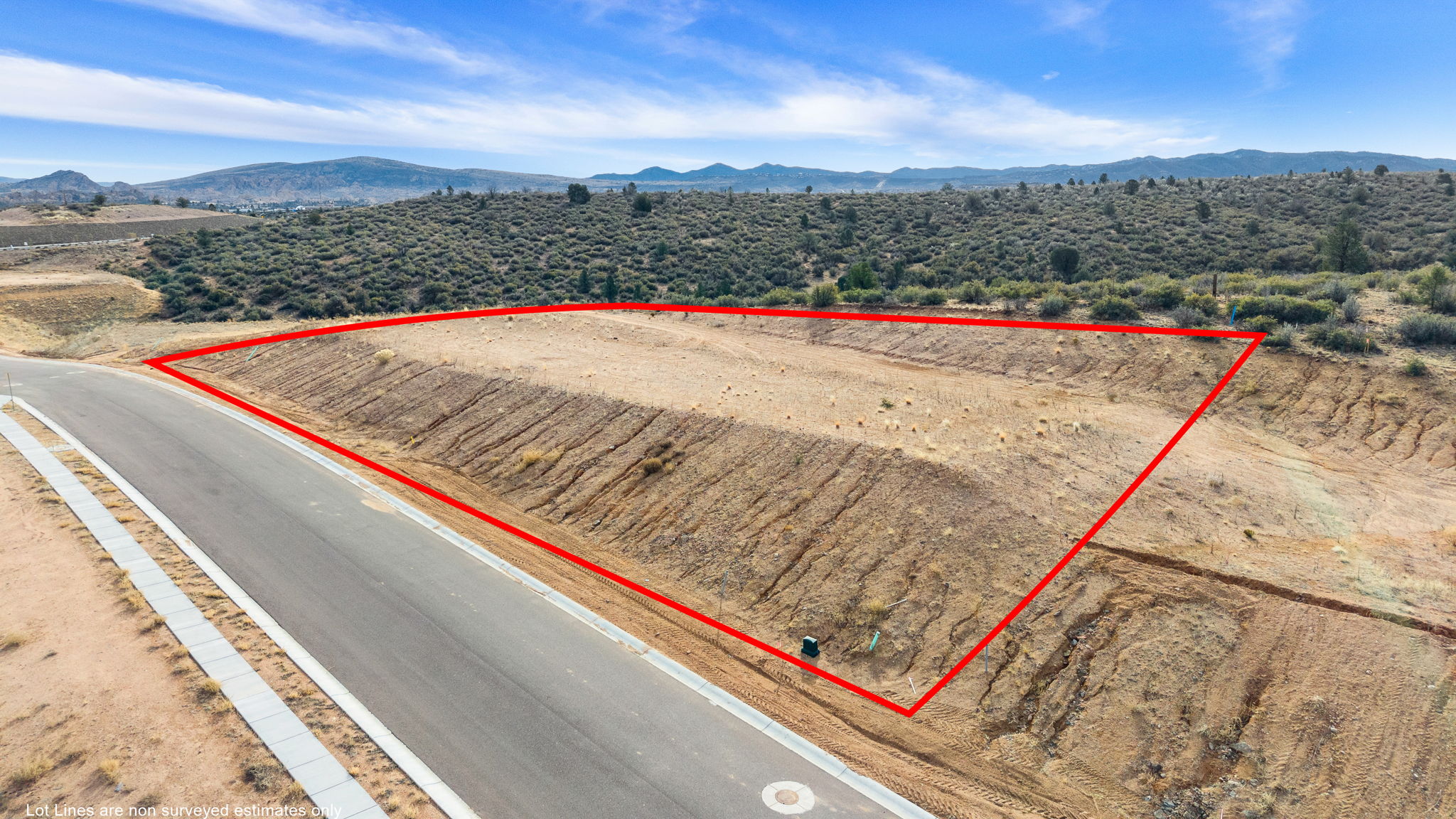 Aerial (1) Lot Lines