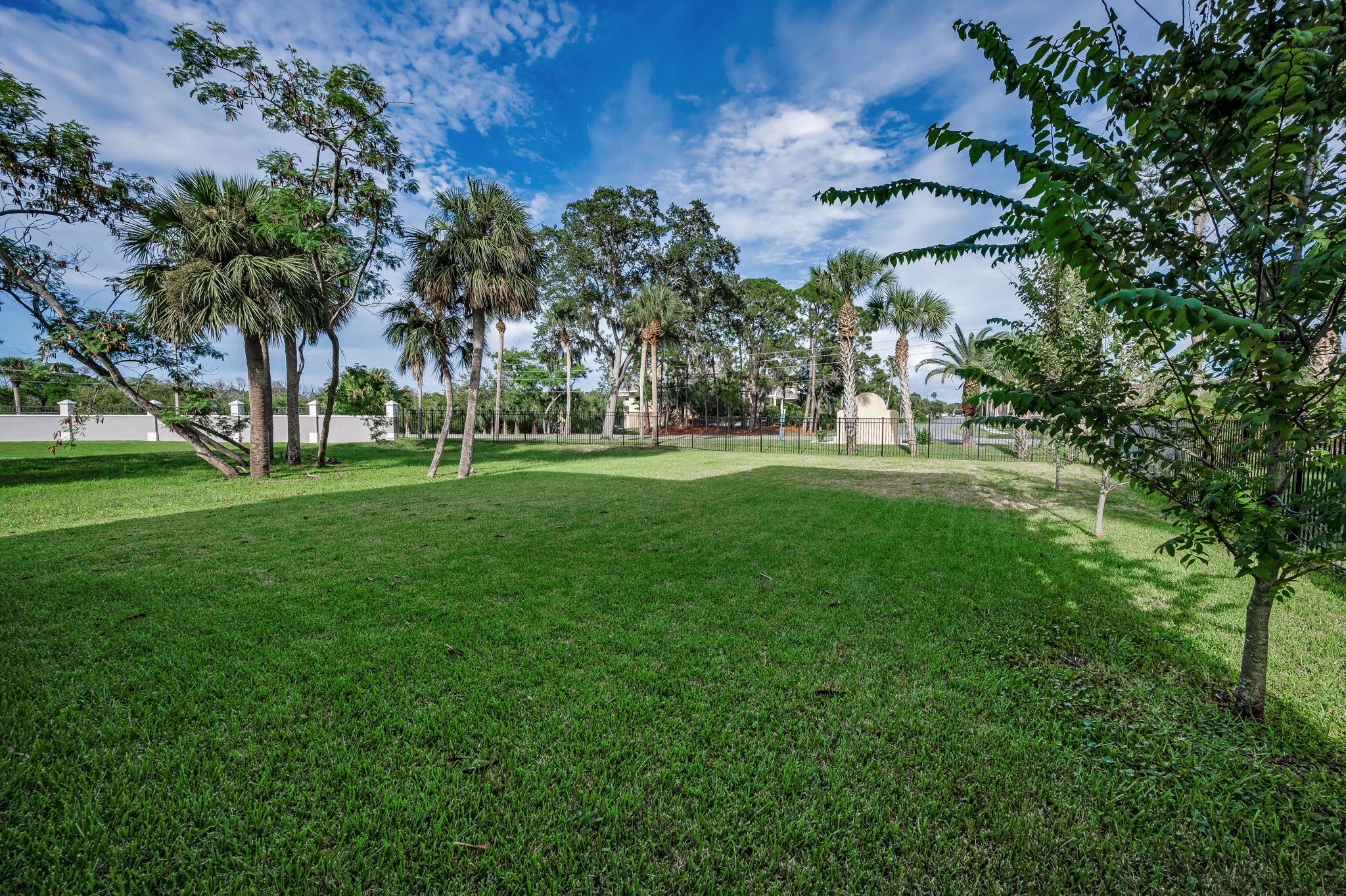 Backyard2