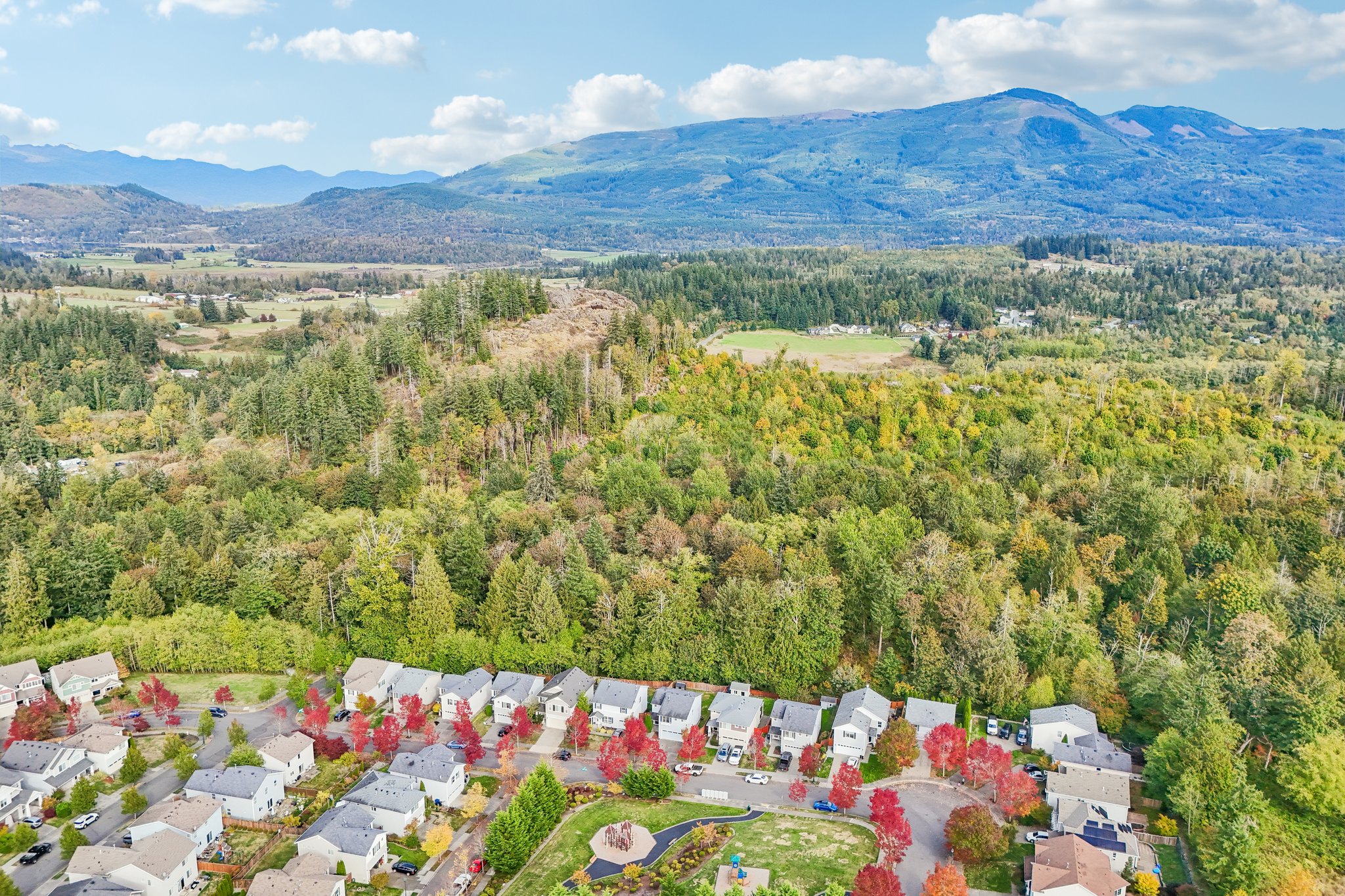 Swift Creek Dr-S2909-040.jpg