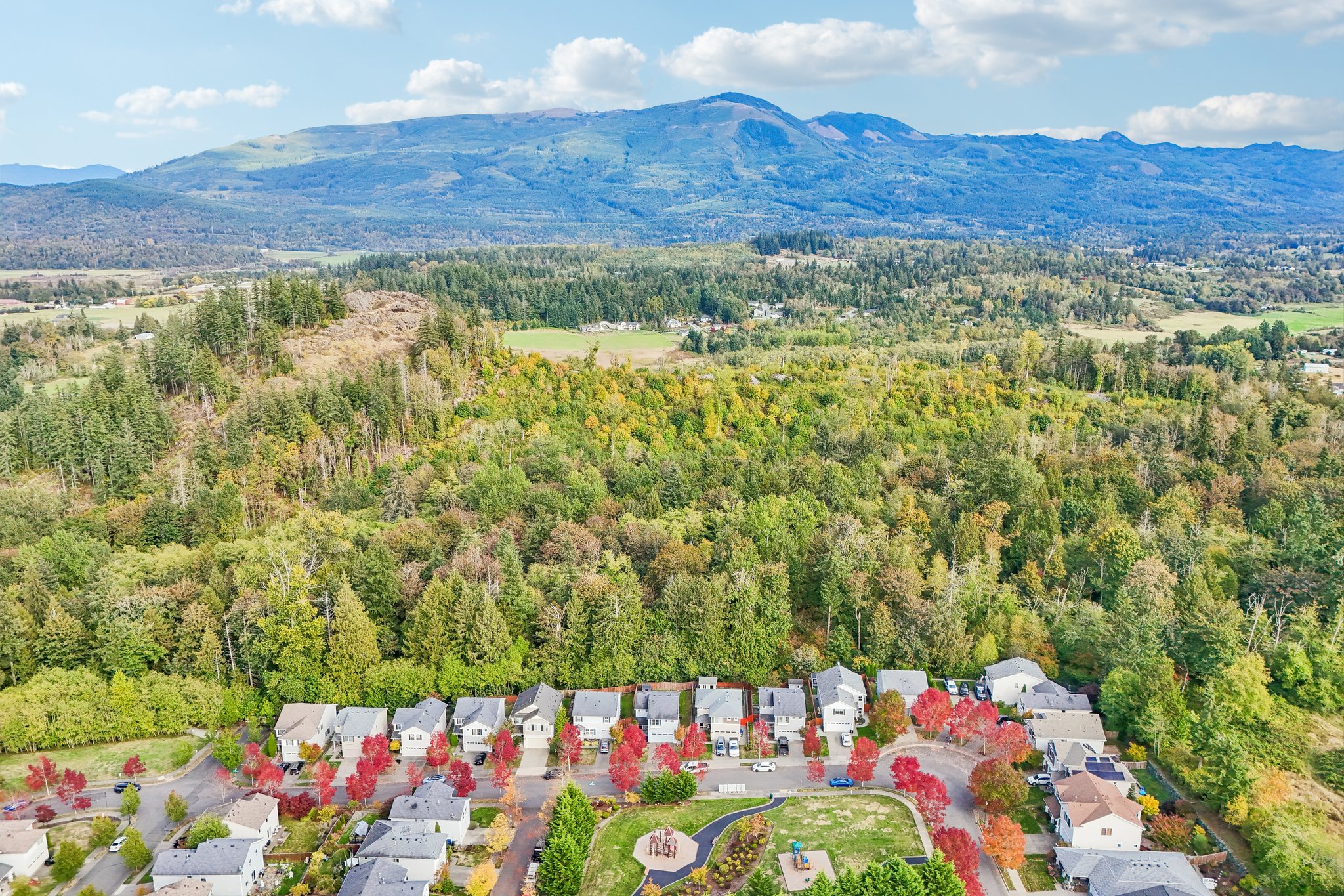 Swift Creek Dr-S2909-041.jpg
