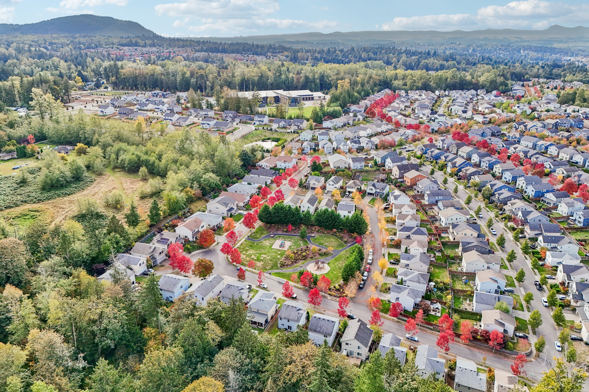 Swift Creek Dr-S2909-044.jpg