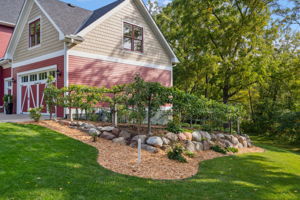 Espalier Apple Garden View