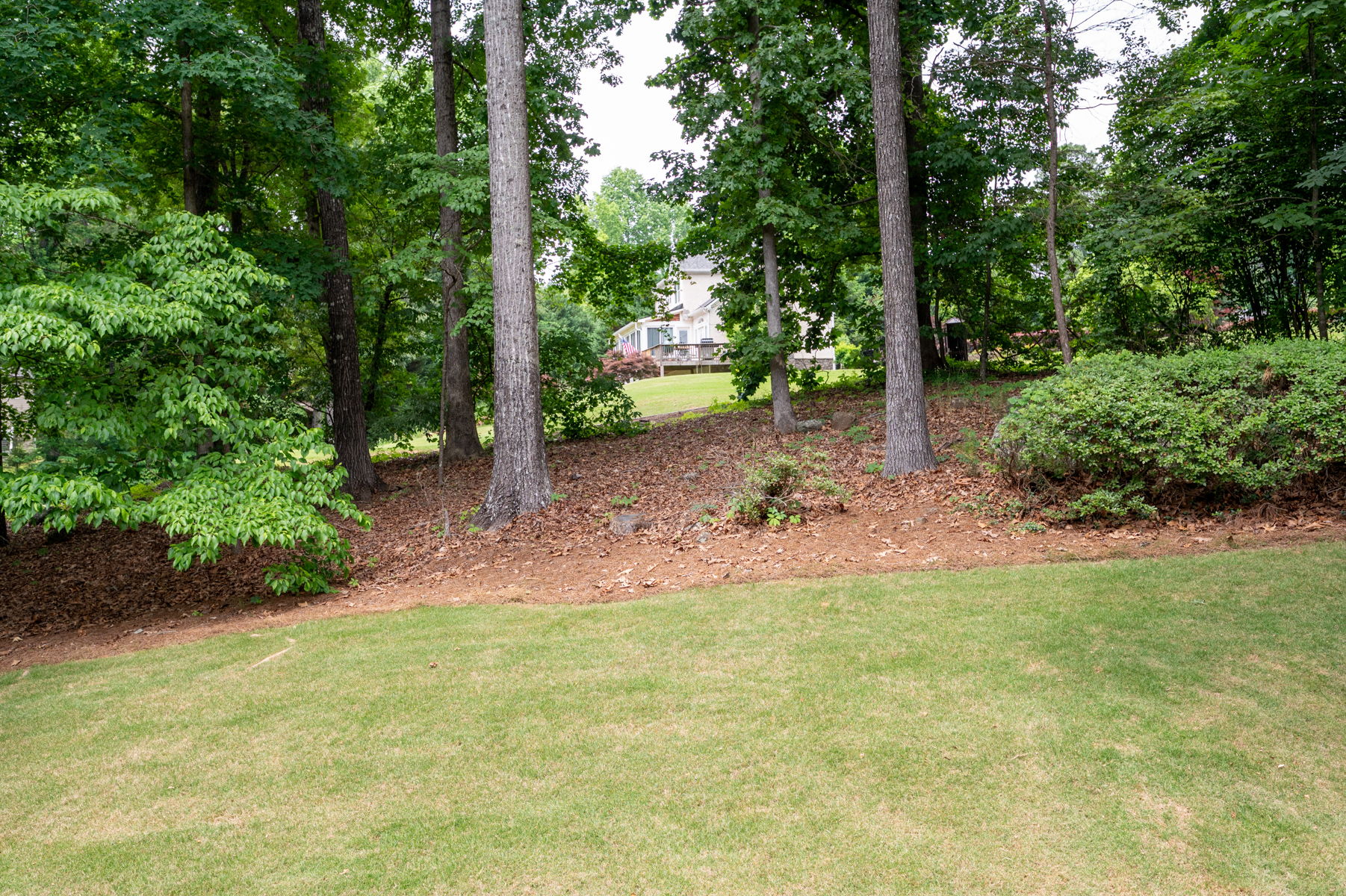 Photo 48