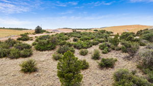 Lot Photo (5)