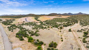 Aerial (4)