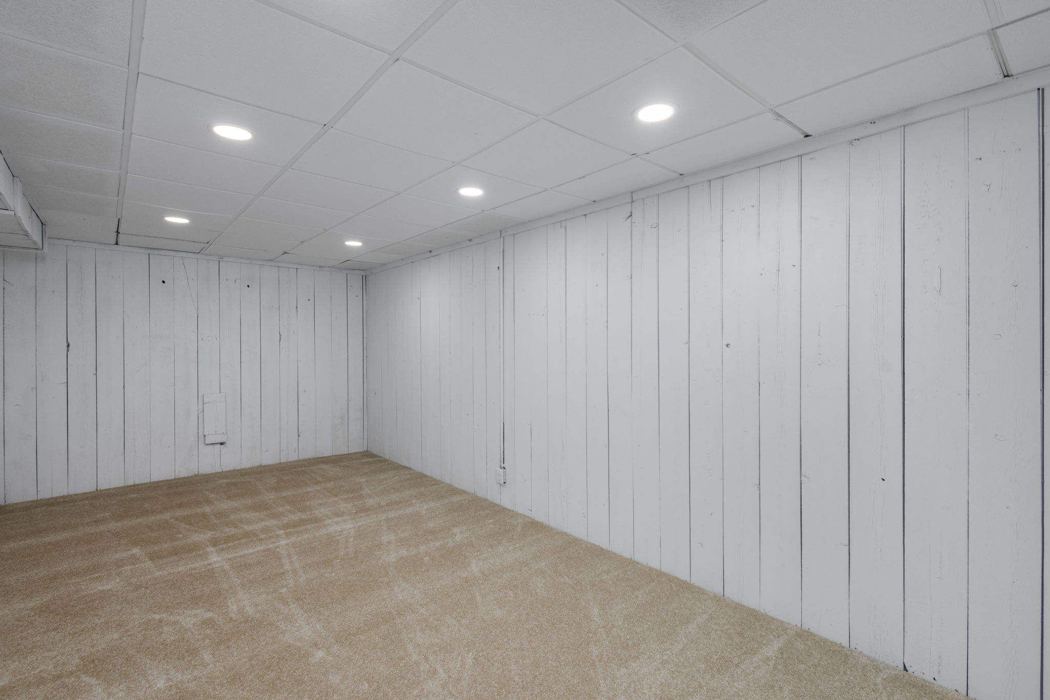 Basement bonus room