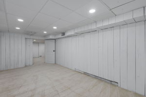 basement bonus room