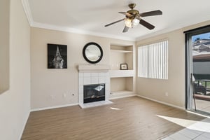 Dartmoor Cir-S1712-013.jpg