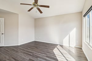 Dartmoor Cir-S1712-023.jpg