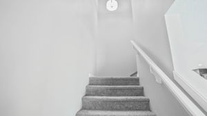  Photo 35