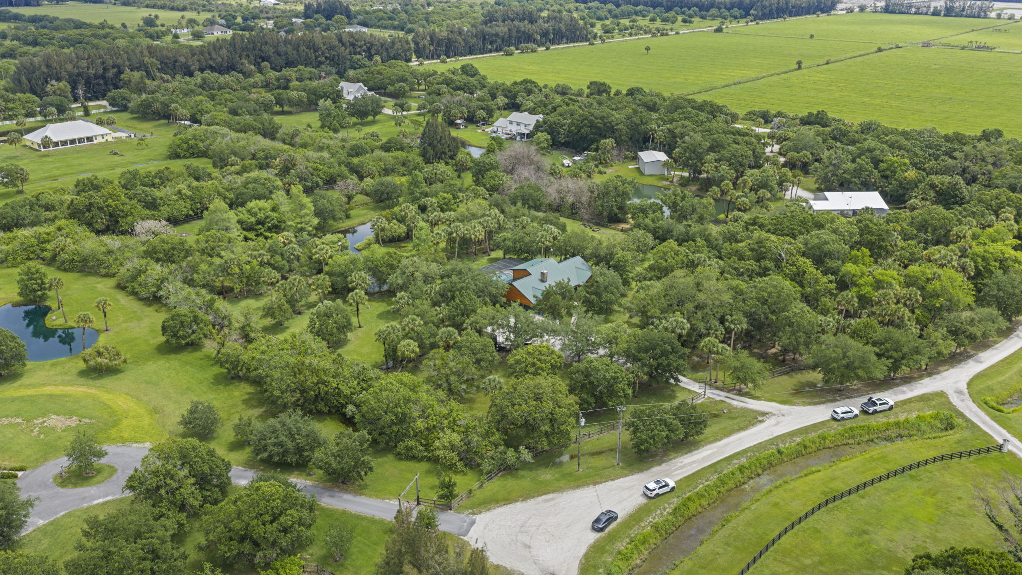  Photo 59