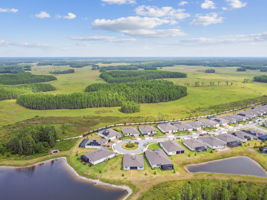 DJI_0040
