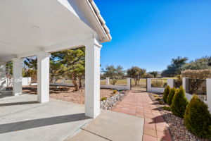 Back Walkway