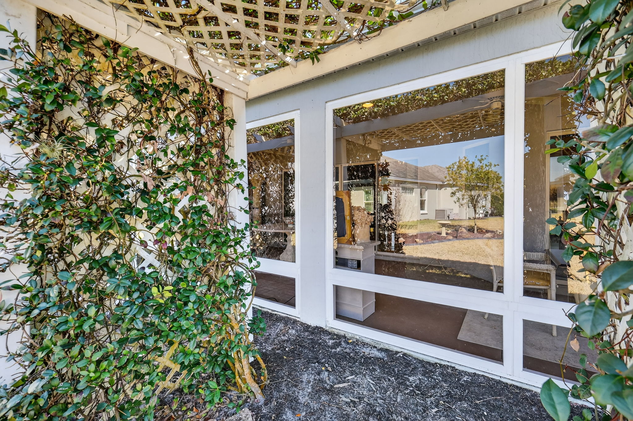 Rear Privacy Pergola and Trellis