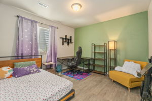 Bedroom #4 (Basement)