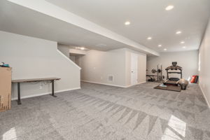 Basement Rec Room