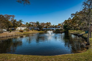 Pond 2