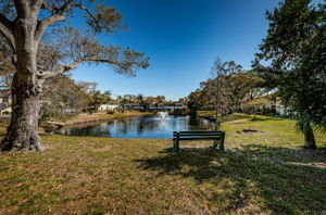 Pond 1