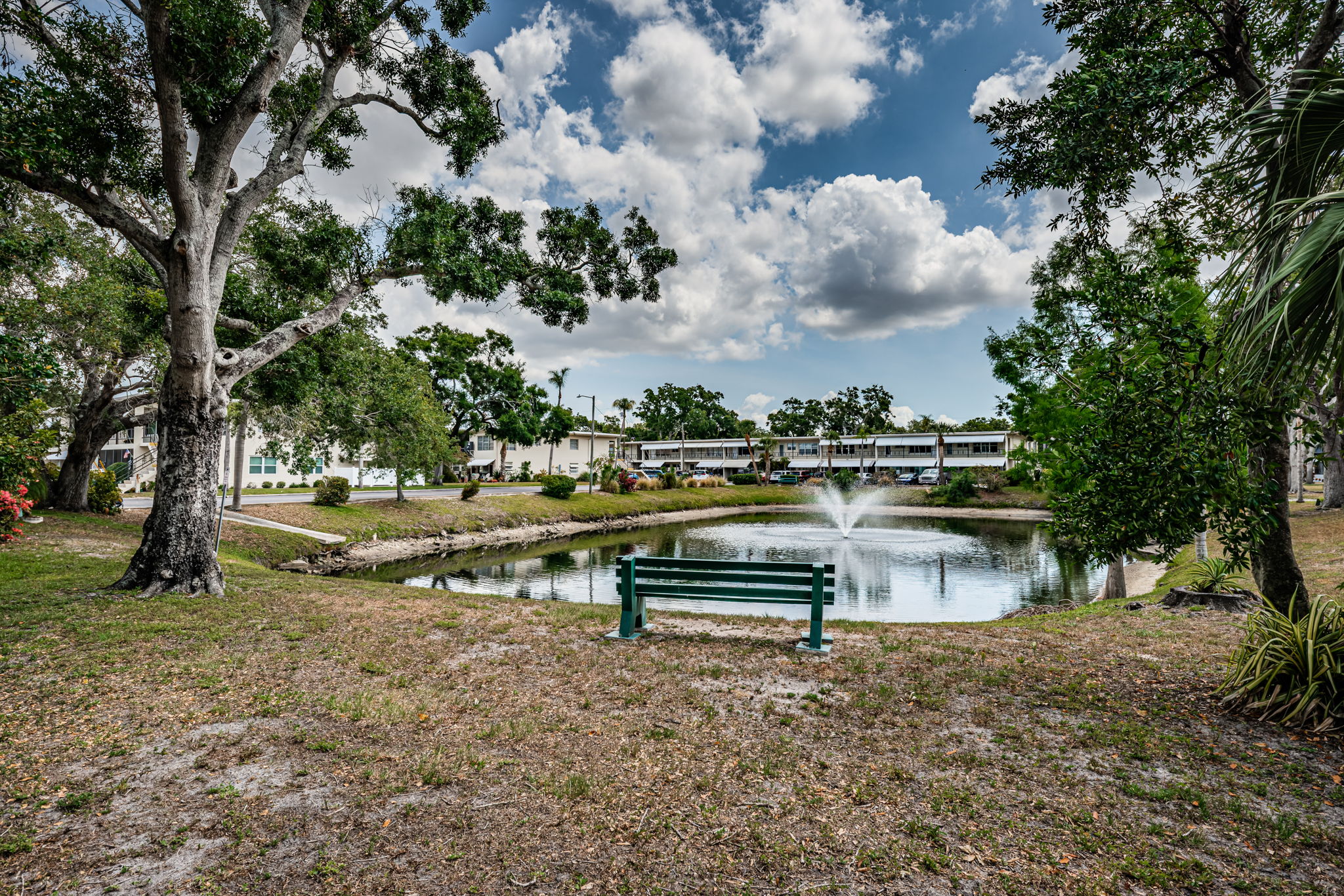 Pond