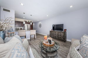 Living Room 4