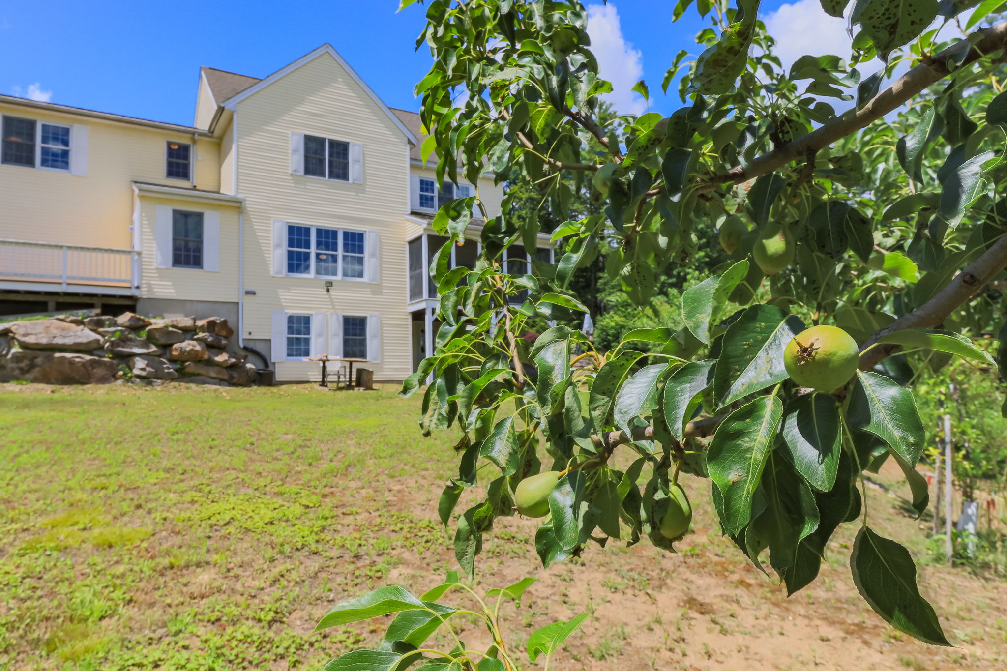 ExteriorFruitTrees-1