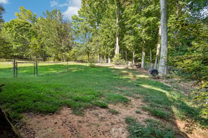 Brooks St-S1909-033.jpg