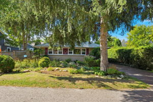  Photo 0
