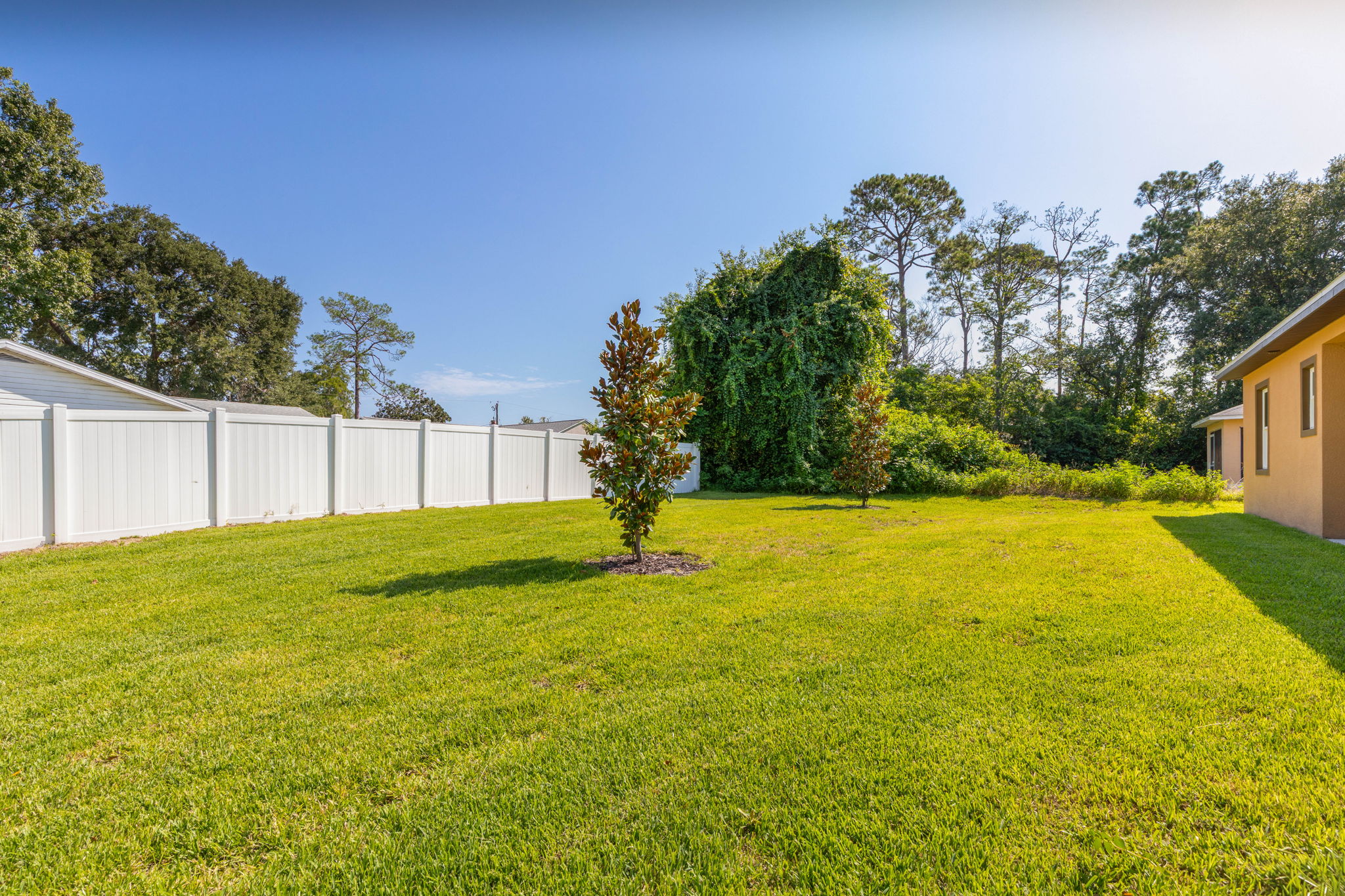 Large backyard