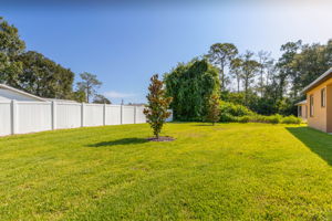 Large backyard