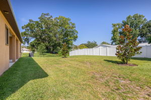 Large backyard