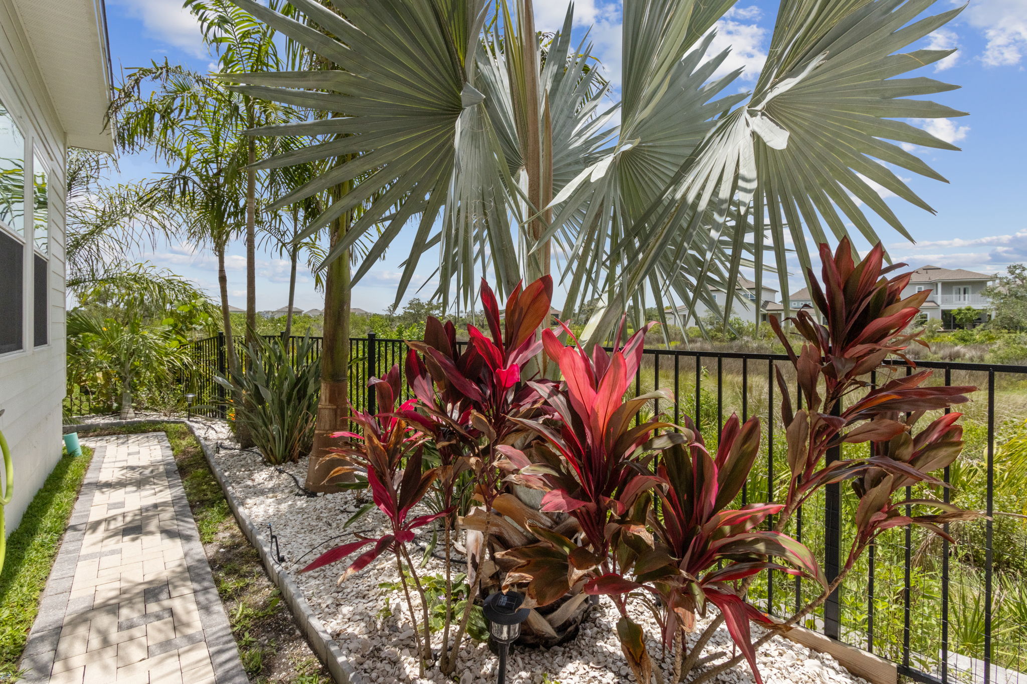 Side Yard