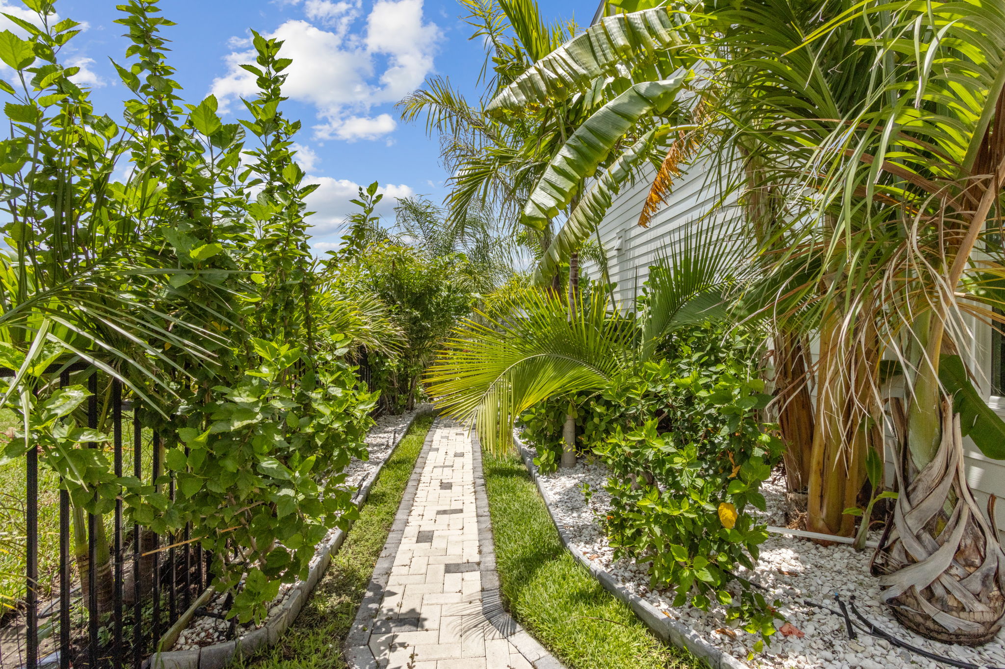 Side Yard
