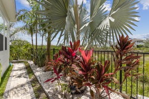 Side Yard