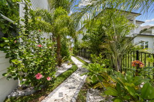 Side Yard
