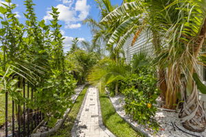 Side Yard