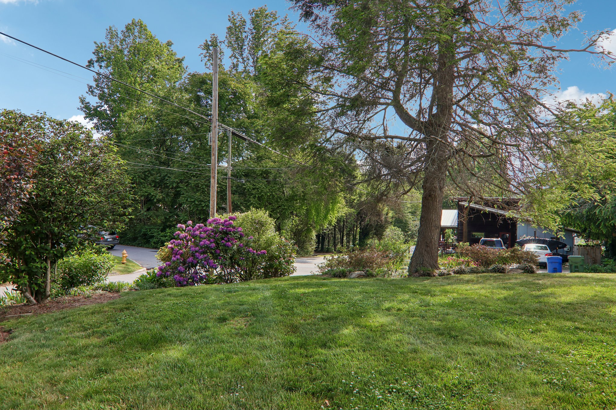 Langwell Ave-S1305-004.jpg