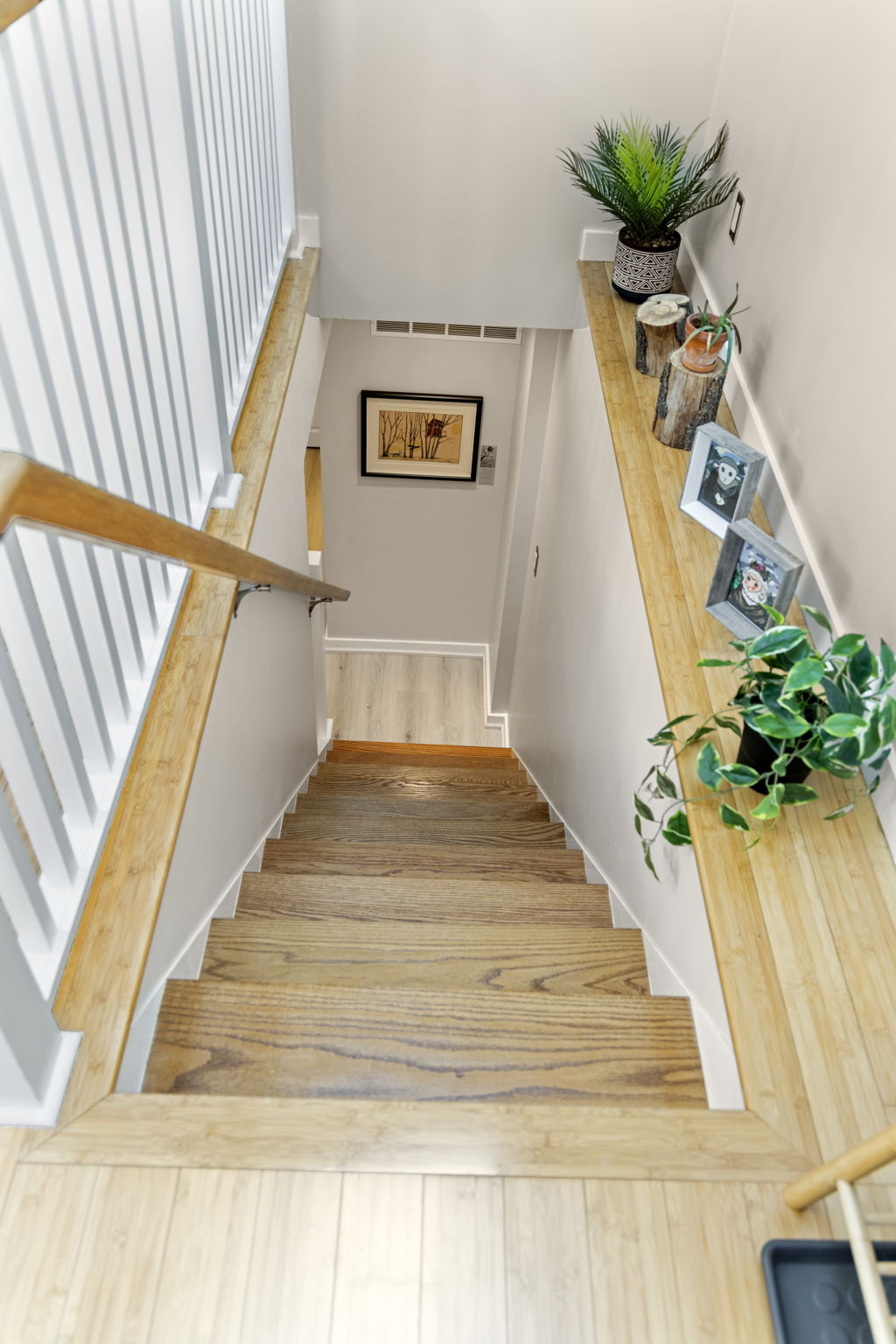 Toronto property showcase — delivered property photograph 14