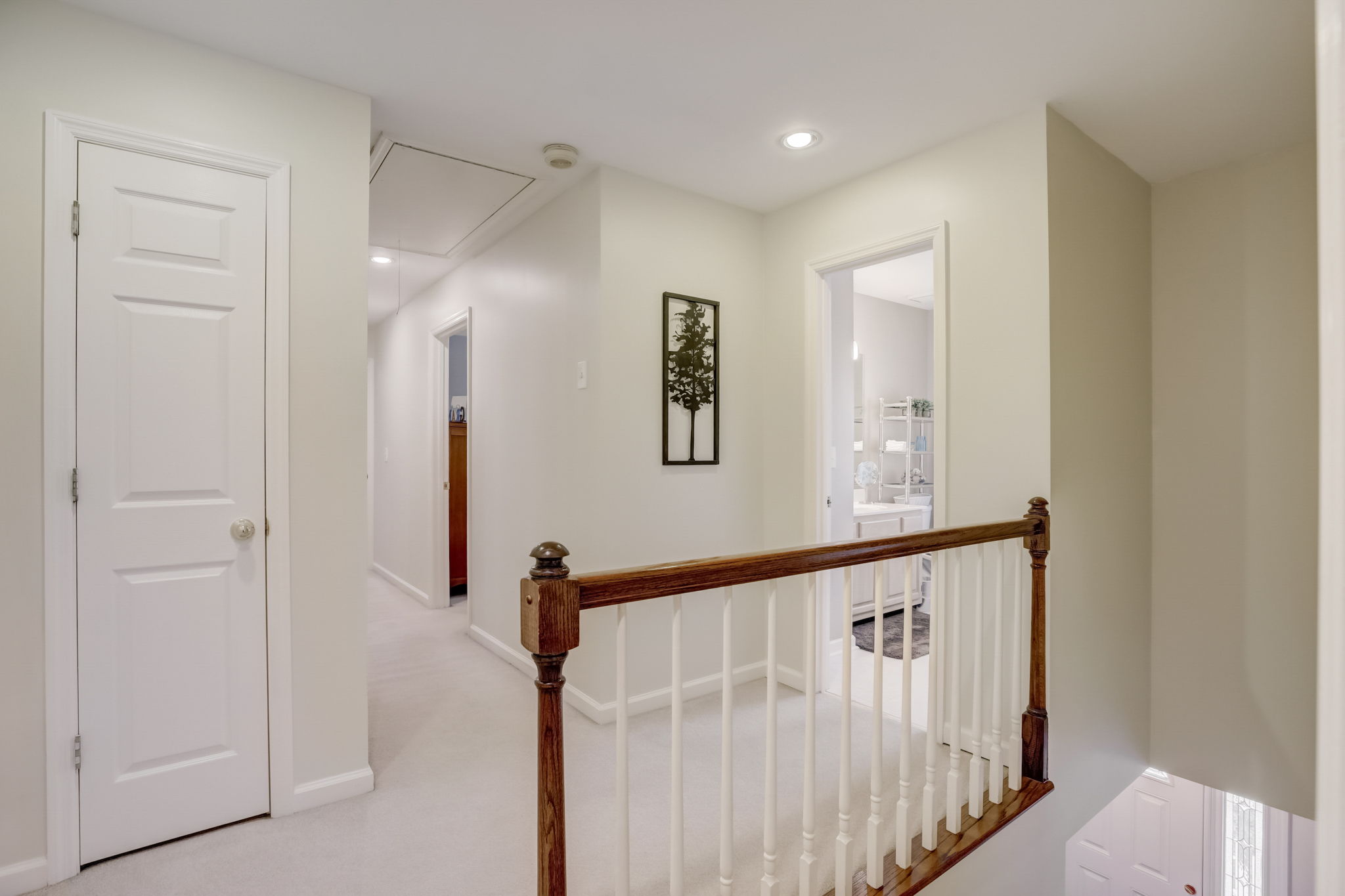 Picketts Ferry Dr-020