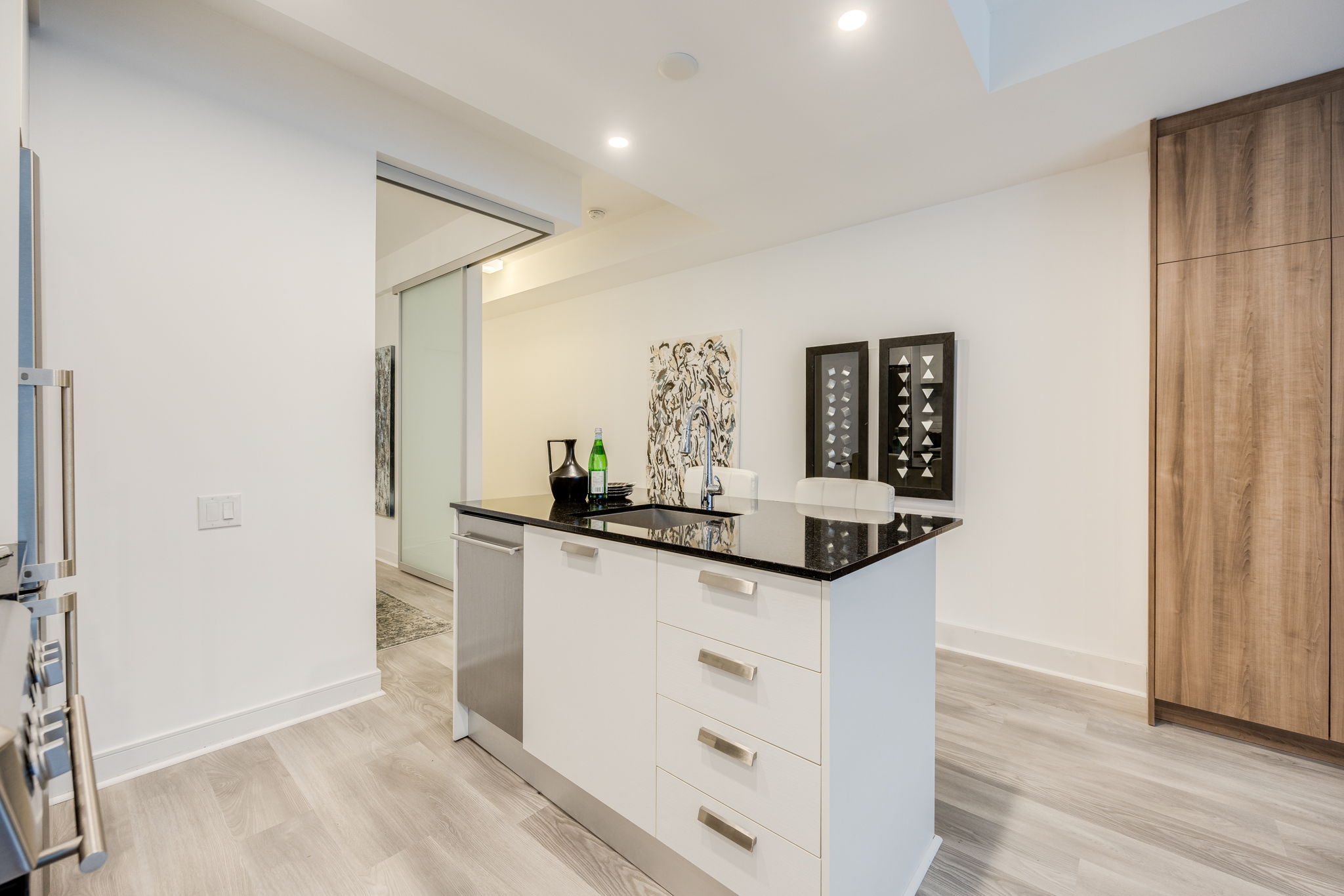 Toronto property showcase — delivered property photograph 8