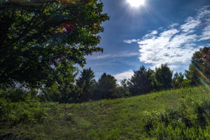 Photo 0