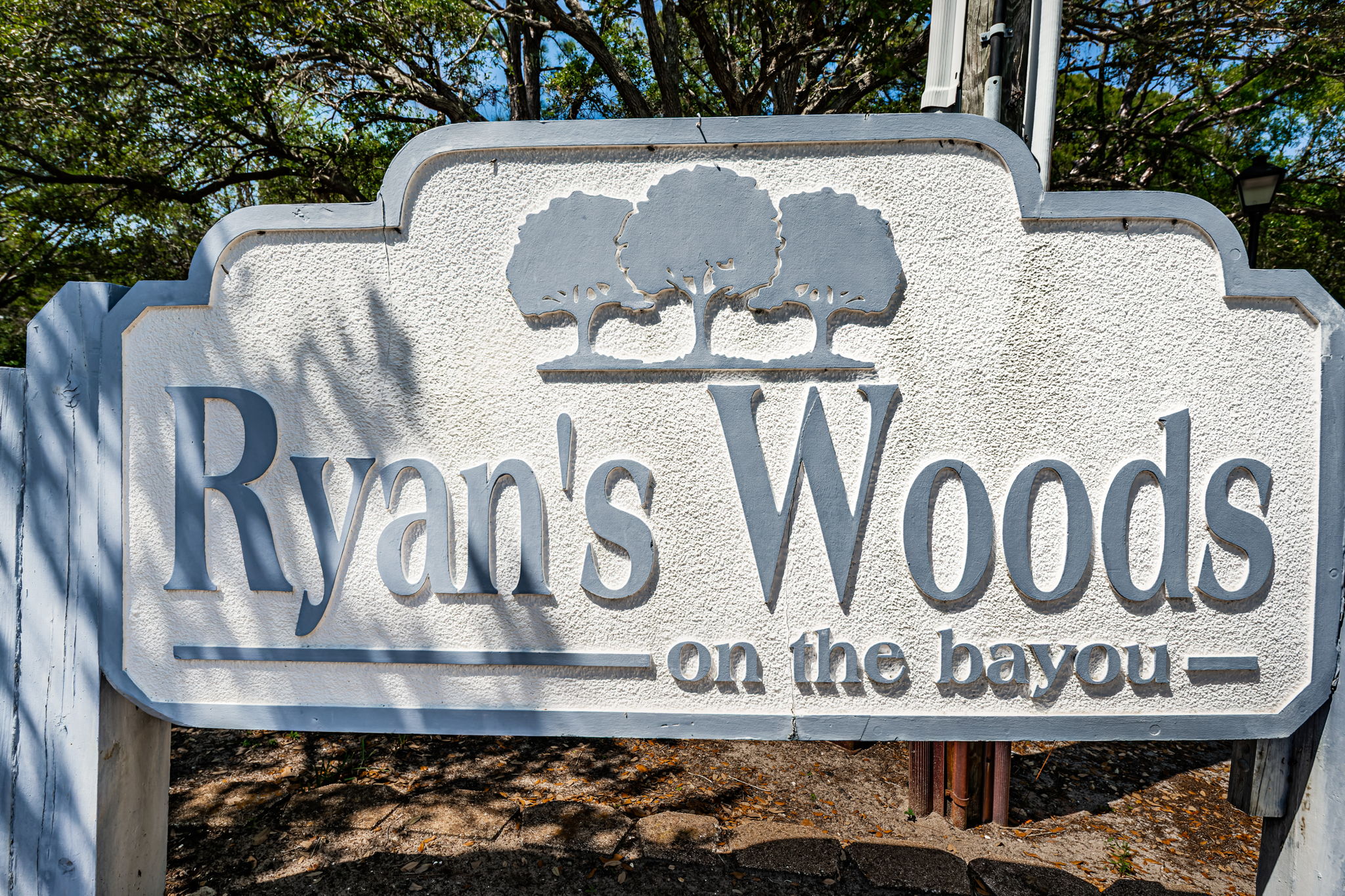 11-Ryans Woods on the Bayou