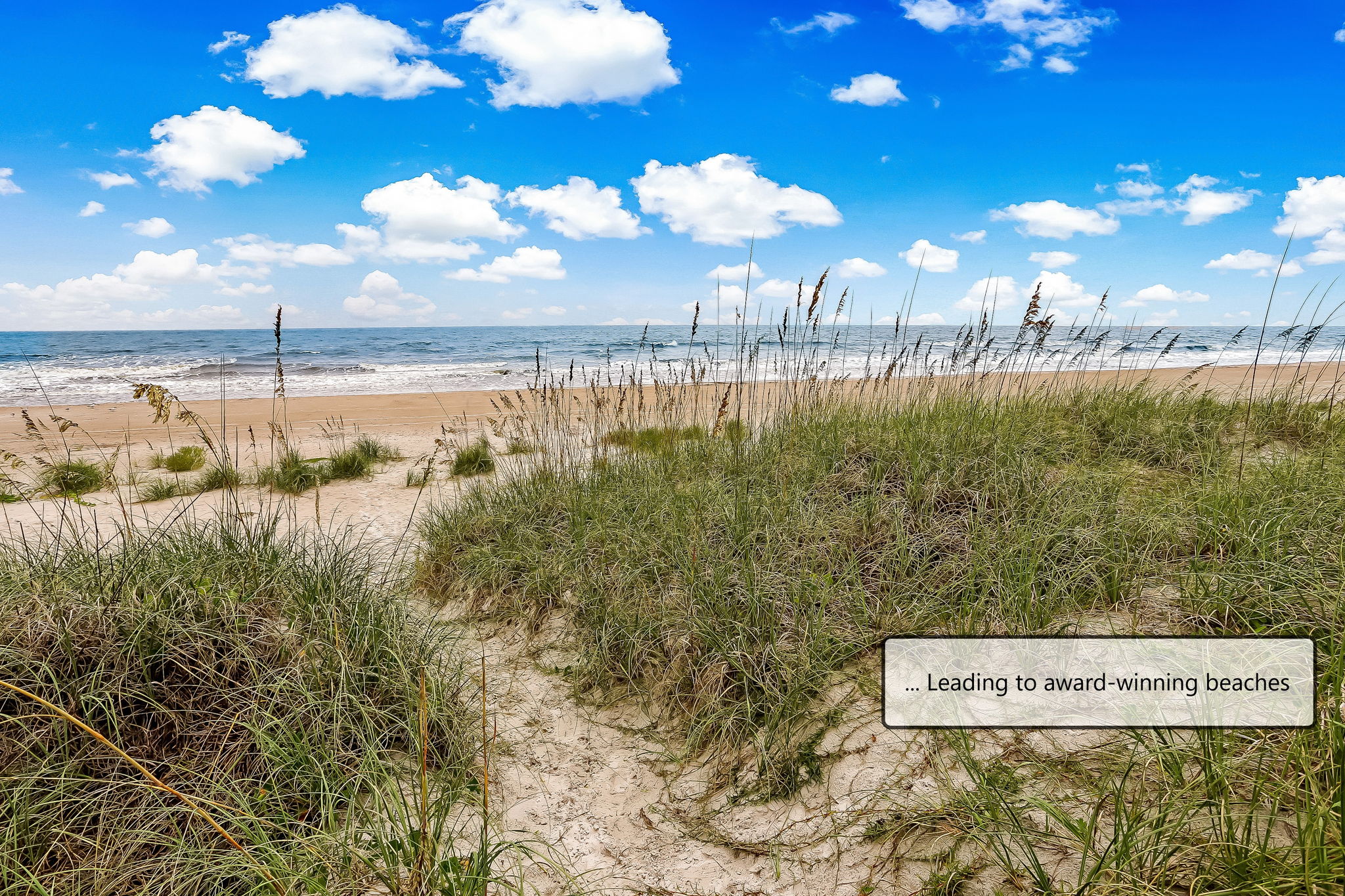 Amelia Island beaches are ranked among the best in the country