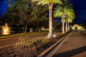 Even the neighborhood is elegantly lit at night