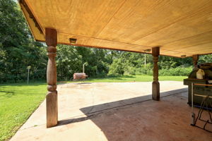  Photo 41