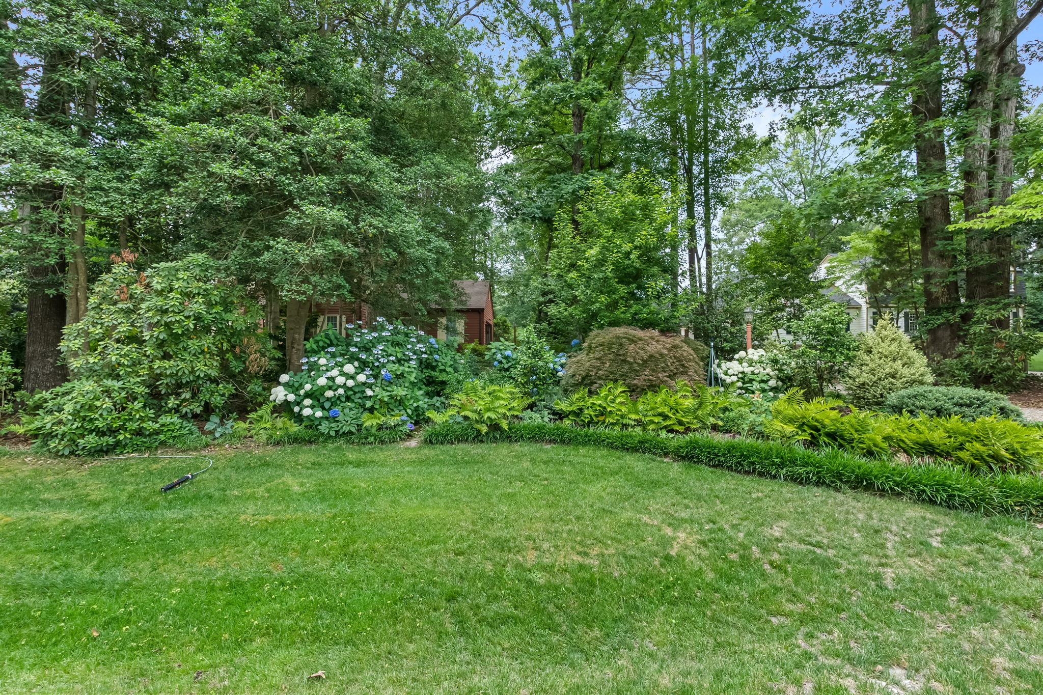  Photo 45