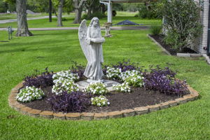  Photo 37
