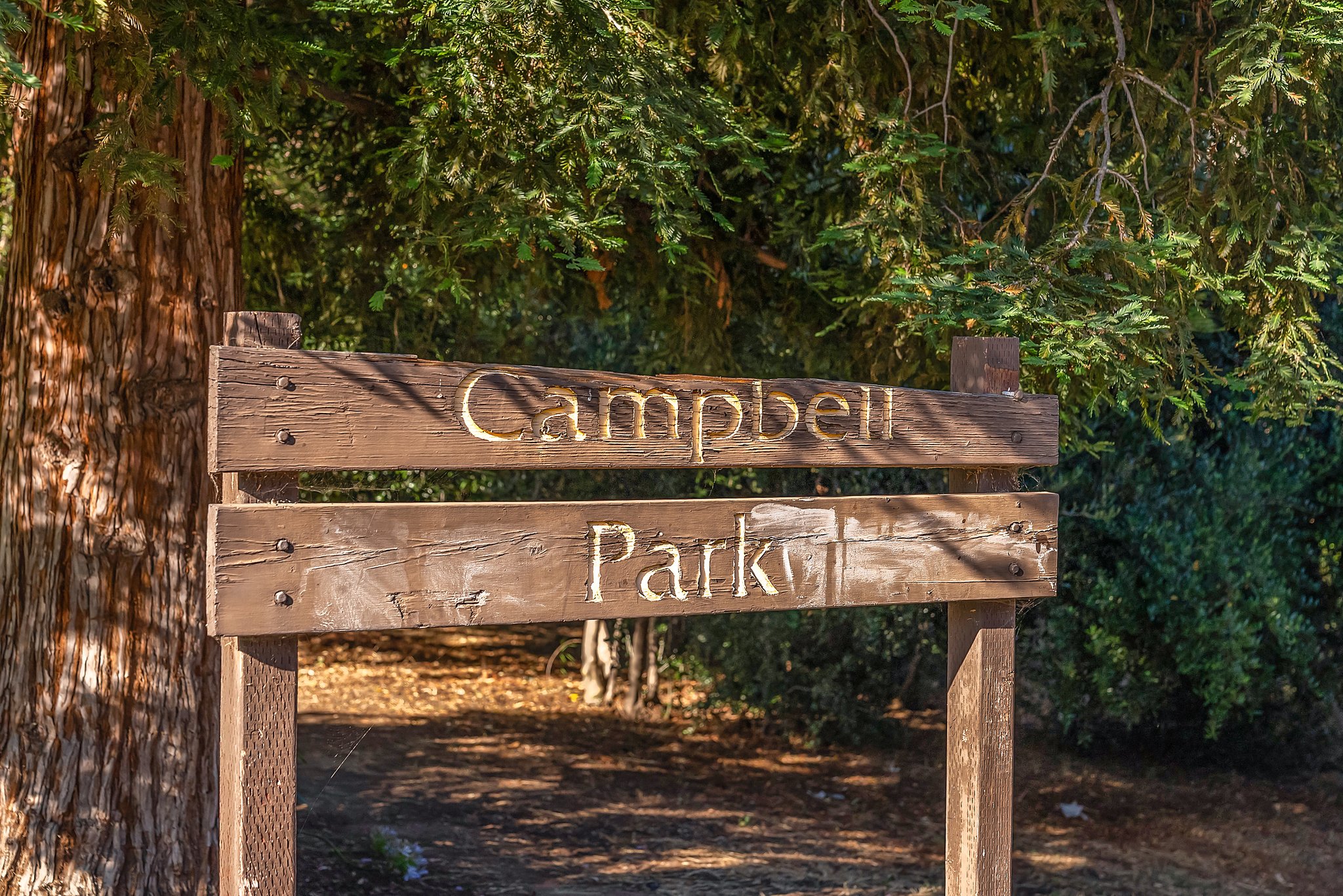 Campbell Park & Los Gatos Creek Trail