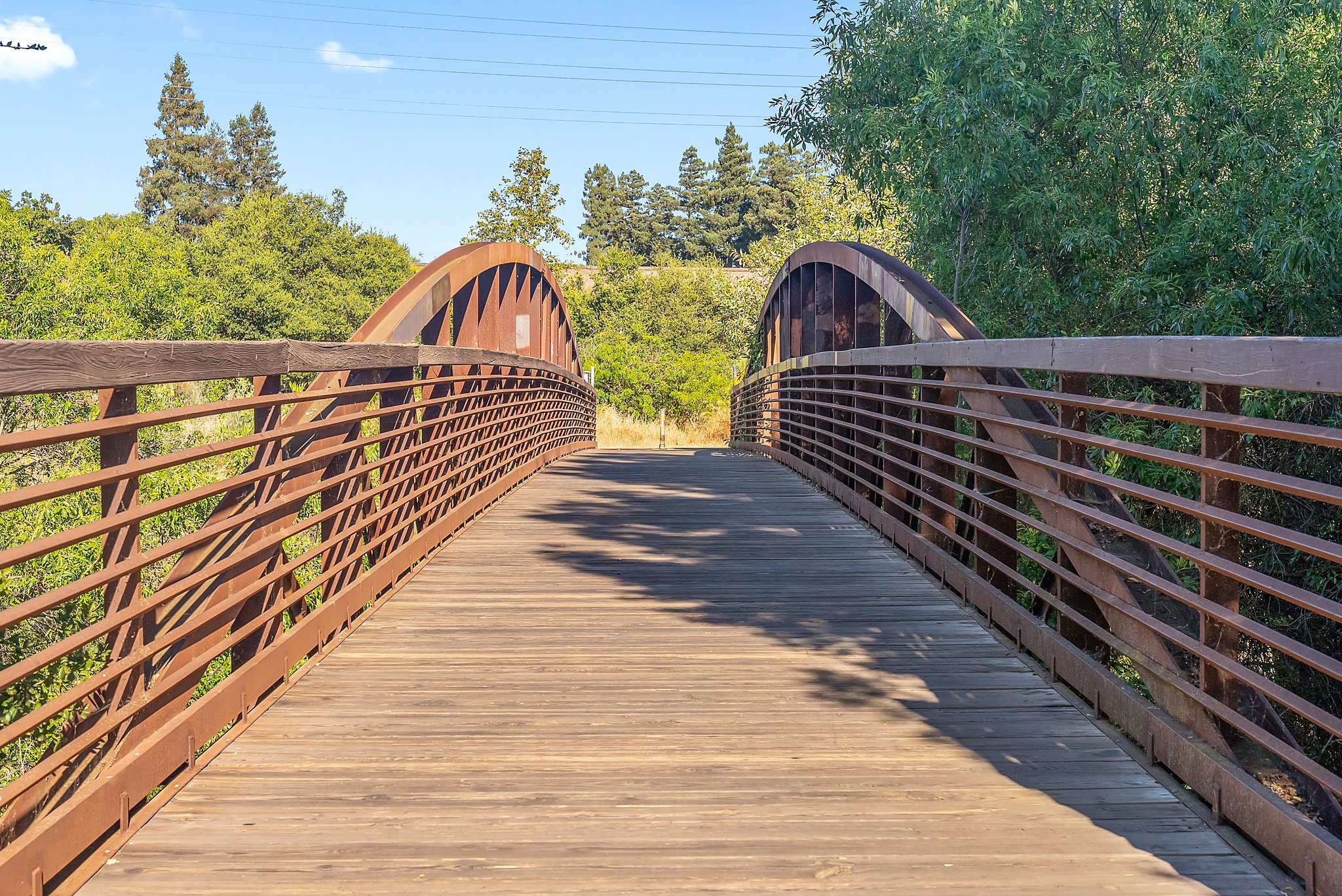 Campbell Park & Los Gatos Creek Trail