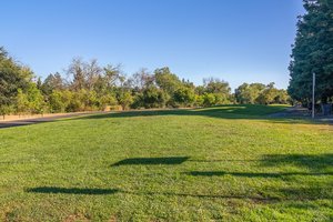 Campbell Park & Los Gatos Creek Trail